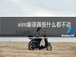 vim编译器按什么都不动