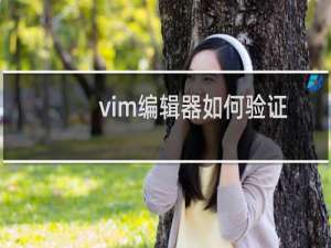 vim编辑器如何验证