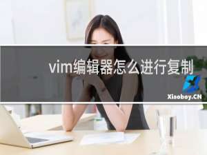 vim编辑器怎么进行复制