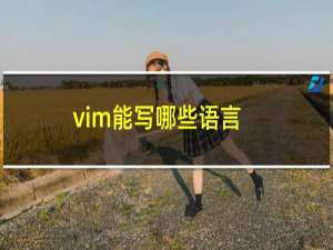 vim能写哪些语言