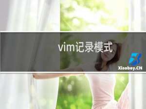 vim记录模式