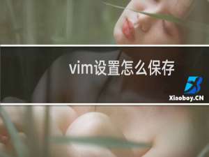 vim设置怎么保存