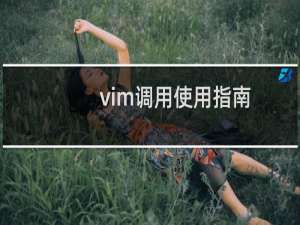 vim调用使用指南