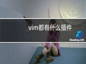 vim都有什么插件