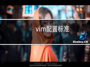 vim配置标准