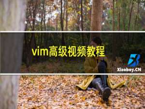 vim高级视频教程