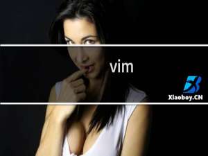 vim 命令模式  复制