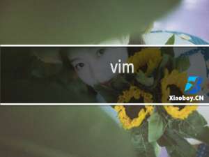 vim 覆盖模式