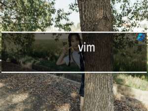 vim 记录功能