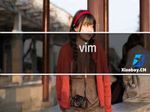 vim  怎么替换