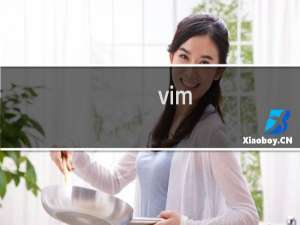 vim latex 安装教程