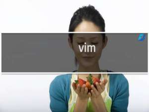 vim mac配置文件在哪里
