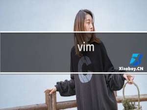vim plus使用教程