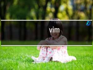 vim termbug如何使用