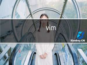 vim visual模式全选