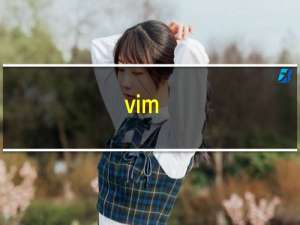vim-gtk 与vim的区别