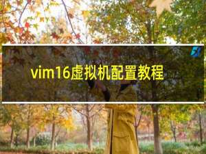 vim16虚拟机配置教程