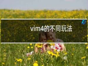 vim4的不同玩法