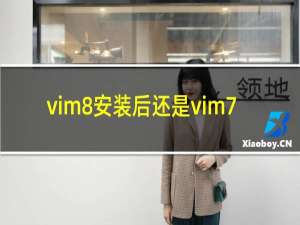 vim8安装后还是vim7