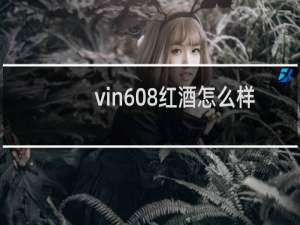vin608红酒怎么样