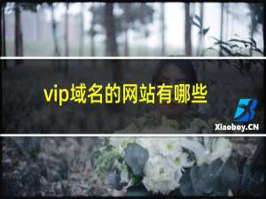 vip域名的网站有哪些