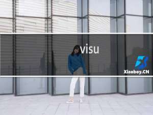 visu-autotec.com 这个邮箱设置outlook