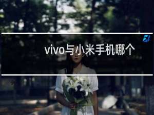vivo与小米手机哪个好