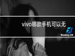 vivo哪款手机可以无线充电