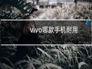 vivo哪款手机耐用