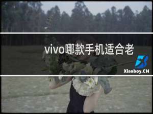 vivo哪款手机适合老人