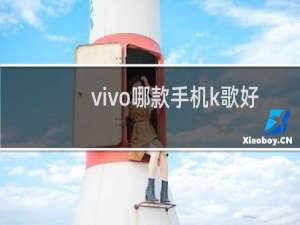vivo哪款手机k歌好