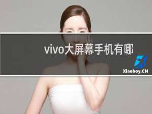 vivo大屏幕手机有哪些