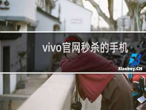 vivo官网秒杀的手机能抢到吗