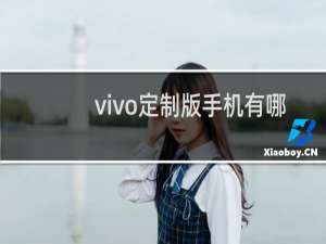 vivo定制版手机有哪些