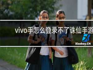 vivo手怎么登录不了诛仙手游