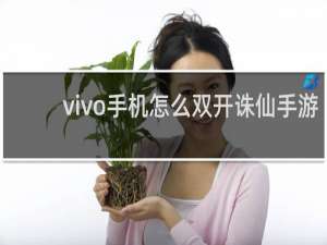 vivo手机怎么双开诛仙手游