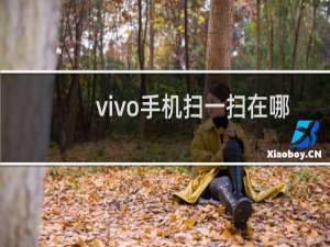 vivo手机扫一扫在哪里