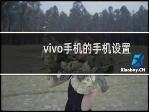 vivo手机的手机设置在哪里