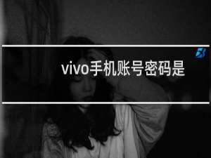 vivo手机账号密码是多少