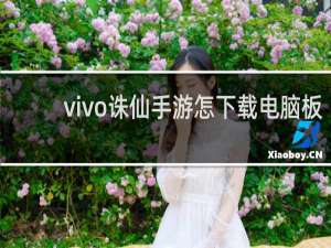 vivo诛仙手游怎下载电脑板