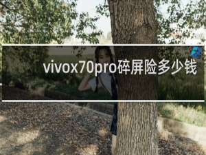 vivox70pro碎屏险多少钱