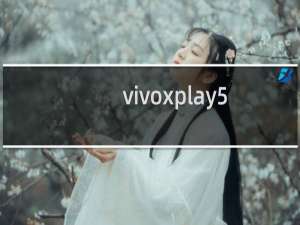 vivoxplay5s