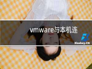 vmware与本机连网的常见问题