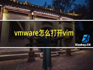 vmware怎么打开vim