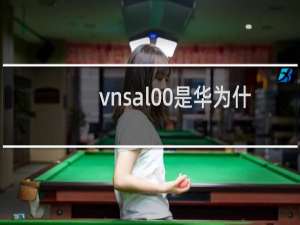 vnsal00是华为什么型号手机