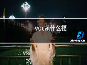 vocal什么梗