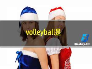 volleyball是什么意思英语