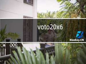 voto x6