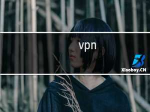 vpn+攻略