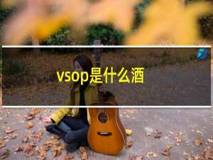 vsop是什么酒（vsop解释）